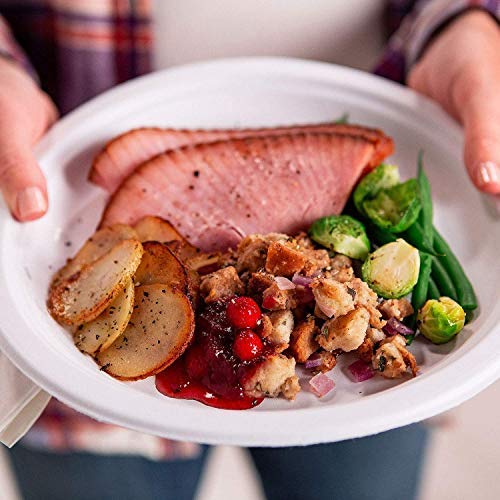 Dixie Everyday Paper Plates, 10 1/16, 220 Count, 5 Packs of 44 Plates, Dinner